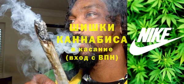 стафф Новозыбков