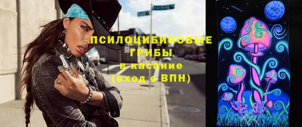 PSILOCYBIN Нефтегорск