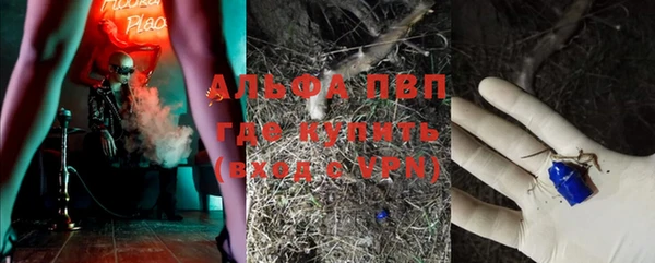 PSILOCYBIN Нефтегорск