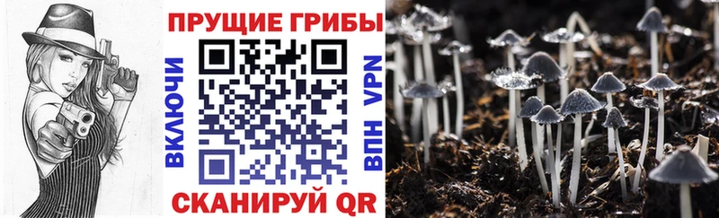Галлюциногенные грибы мицелий  МЕГА вход  Химки 