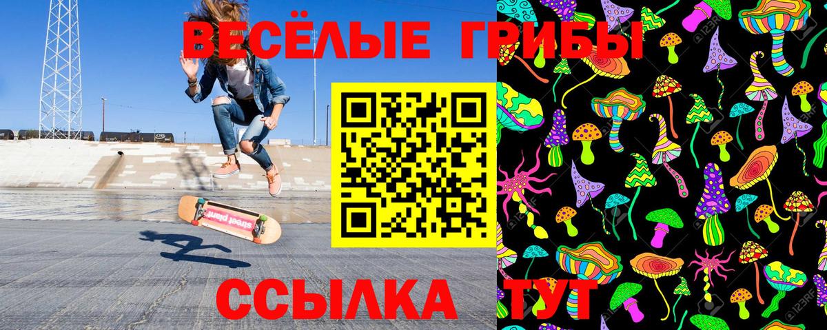 Галлюциногенные грибы MAGIC MUSHROOMS Химки