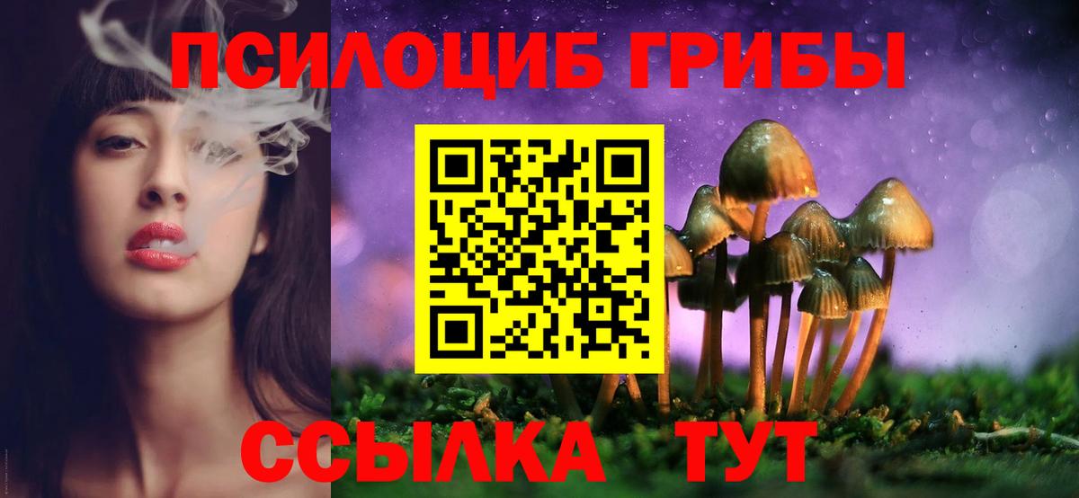 Псилоцибиновые грибы прущие грибы  Химки  Псилоцибиновые грибы Cubensis 