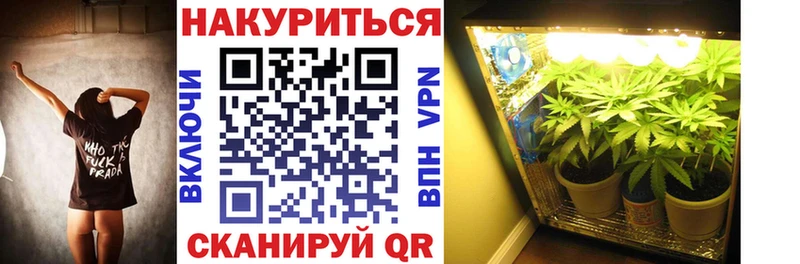 Бошки Шишки VHQ  Химки 