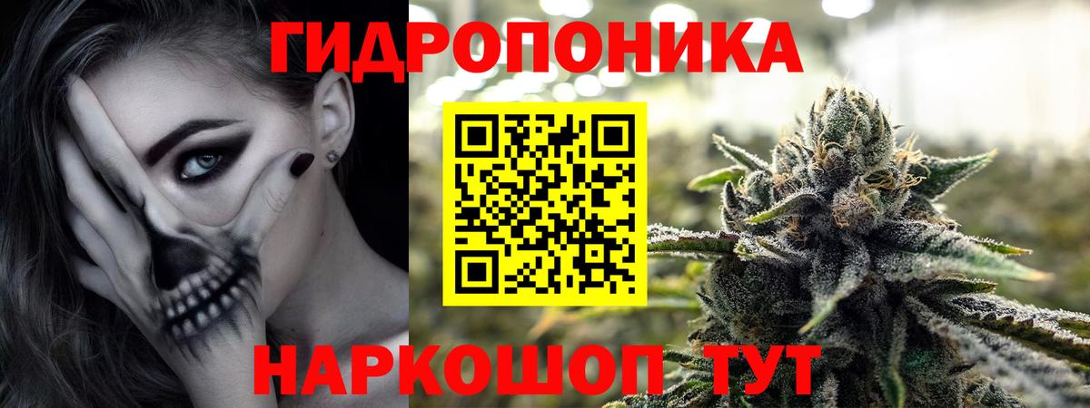 Бошки марихуана тримм  МАРИХУАНА VHQ  Вход с VPN  Химки  Бошки марихуана Bruce Banner 